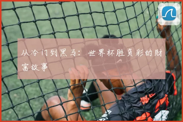 从冷门到黑马:世界杯胜负彩的财富故事