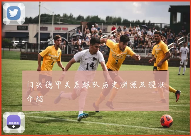 门兴德甲关系球队历史渊源及现状介绍