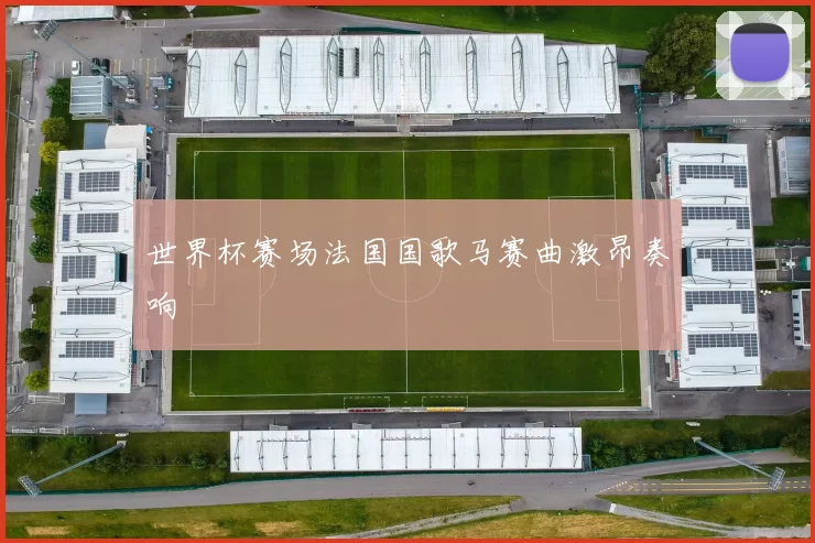 世界杯赛场法国国歌马赛曲激昂奏响