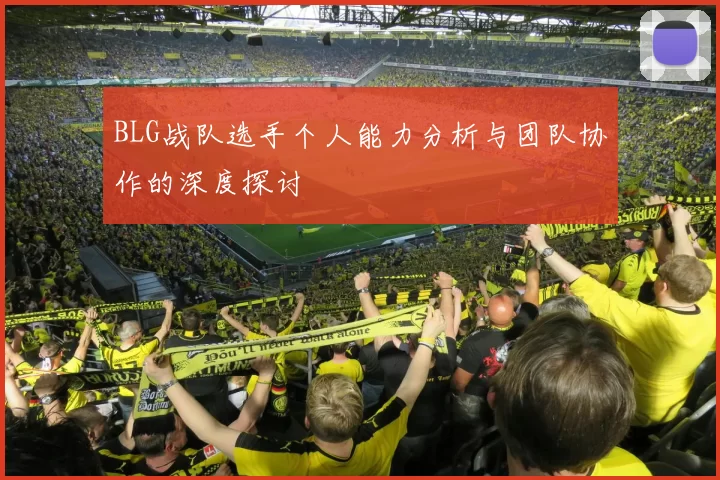 BLG战队选手个人能力分析与团队协作的深度探讨