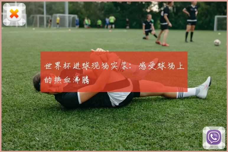 世界杯进球现场实录:感受球场上的热血沸腾