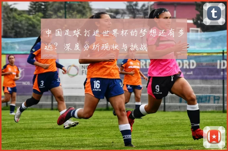 中国足球打进世界杯的梦想还有多远?深度分析现状与挑战