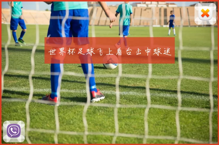 世界杯足球飞上看台击中球迷