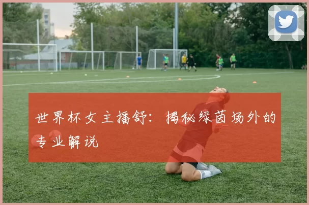 世界杯女主播舒:揭秘绿茵场外的专业解说