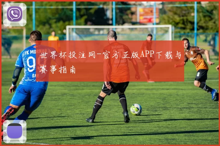 世界杯投注网-官方正版APP下载与赛事指南