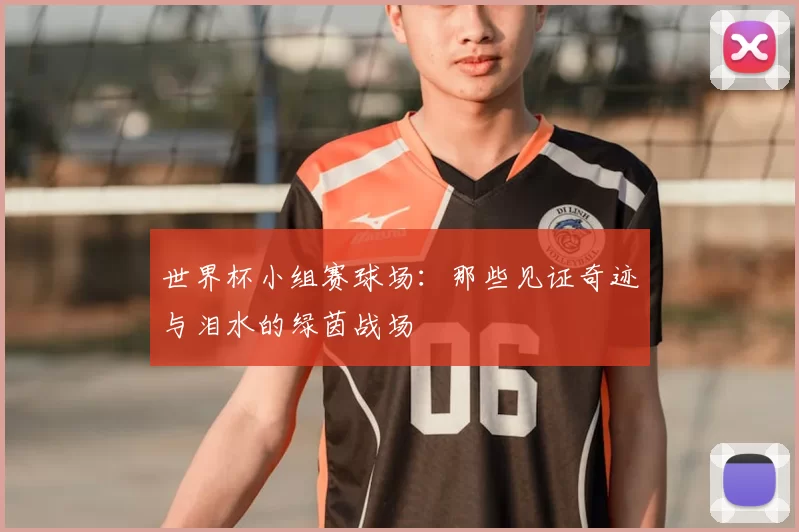 世界杯小组赛球场:那些见证奇迹与泪水的绿茵战场