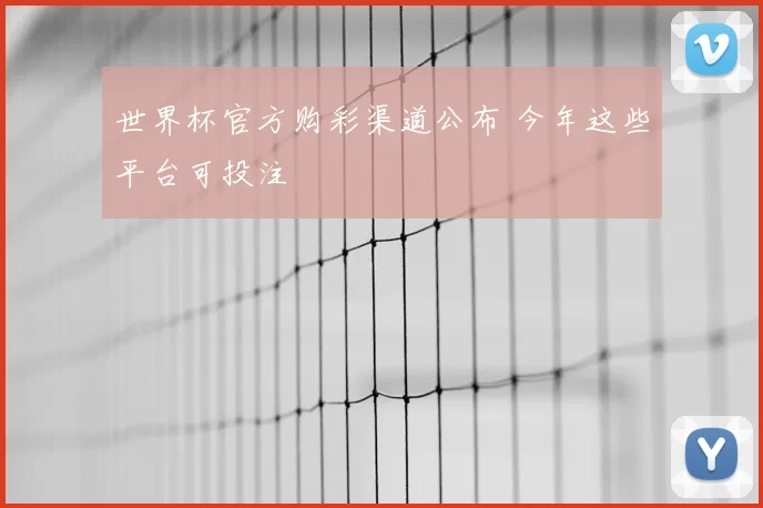 世界杯官方购彩渠道公布 今年这些平台可投注