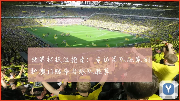 世界杯投注指南：专访团队独家剖析澳门赔率与球队胜算