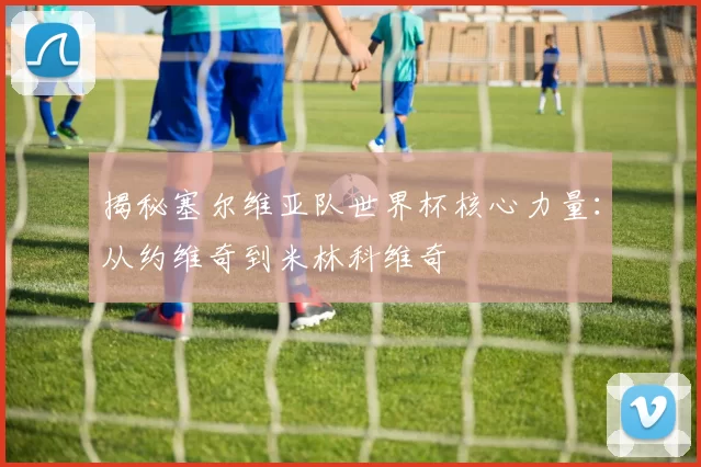 揭秘塞尔维亚队世界杯核心力量:从约维奇到米林科维奇