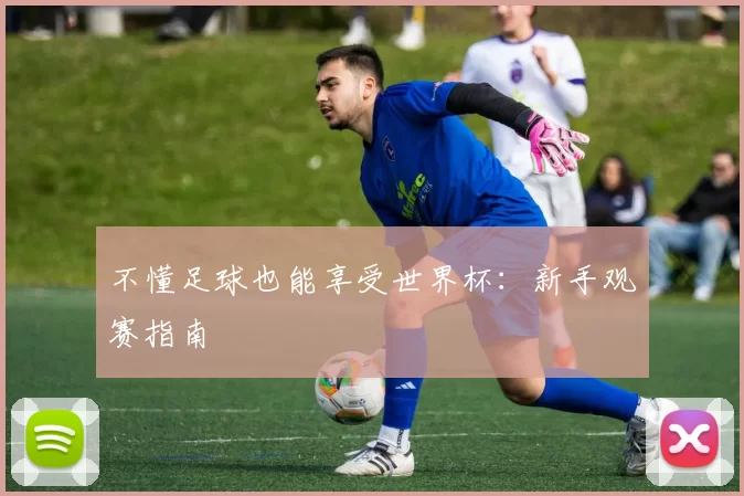 不懂足球也能享受世界杯：新手观赛指南