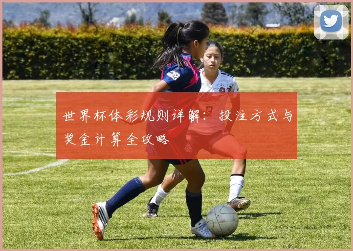 世界杯体彩规则详解:投注方式与奖金计算全攻略