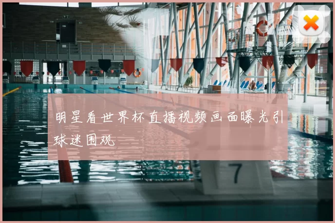 明星看世界杯直播视频画面曝光引球迷围观
