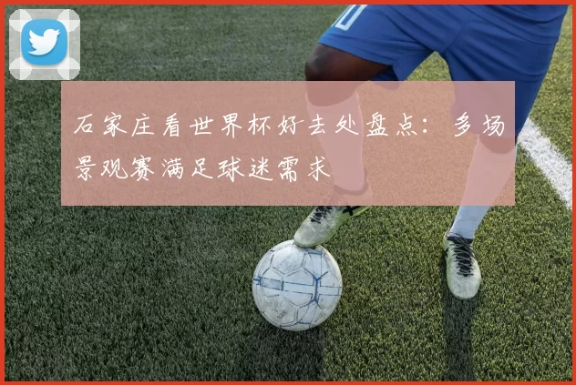 石家庄看世界杯好去处盘点:多场景观赛满足球迷需求