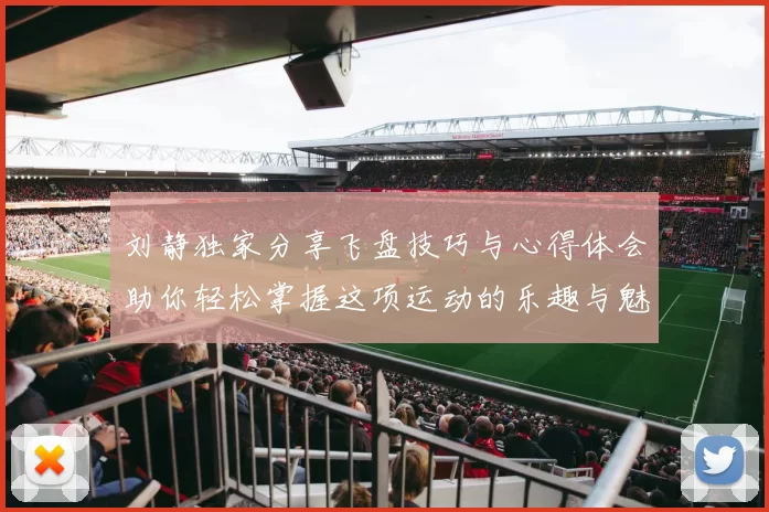 刘静独家分享飞盘技巧与心得体会助你轻松掌握这项运动的乐趣与魅力