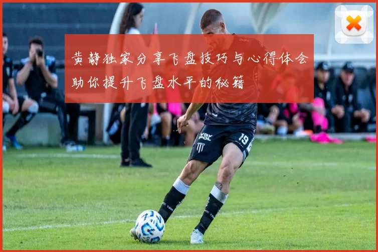黄静独家分享飞盘技巧与心得体会助你提升飞盘水平的秘籍