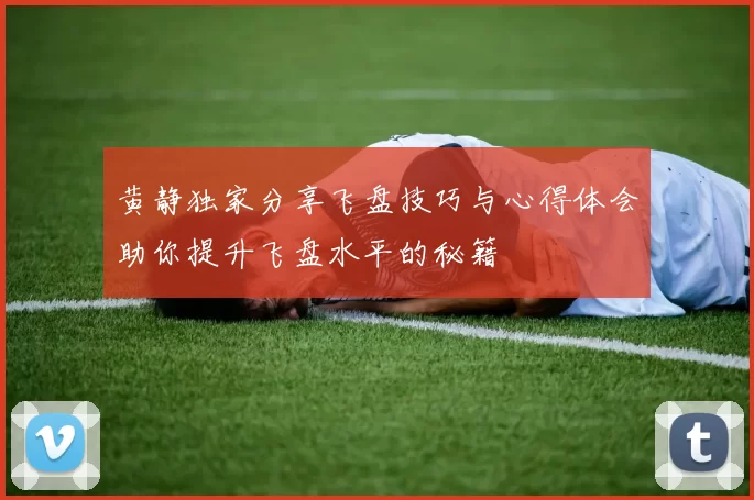 黄静独家分享飞盘技巧与心得体会助你提升飞盘水平的秘籍